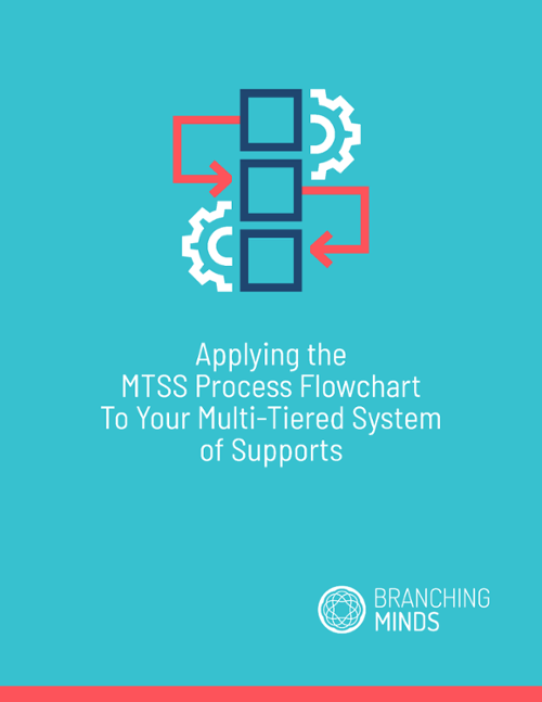 MTSS Intervention Process Flowchart