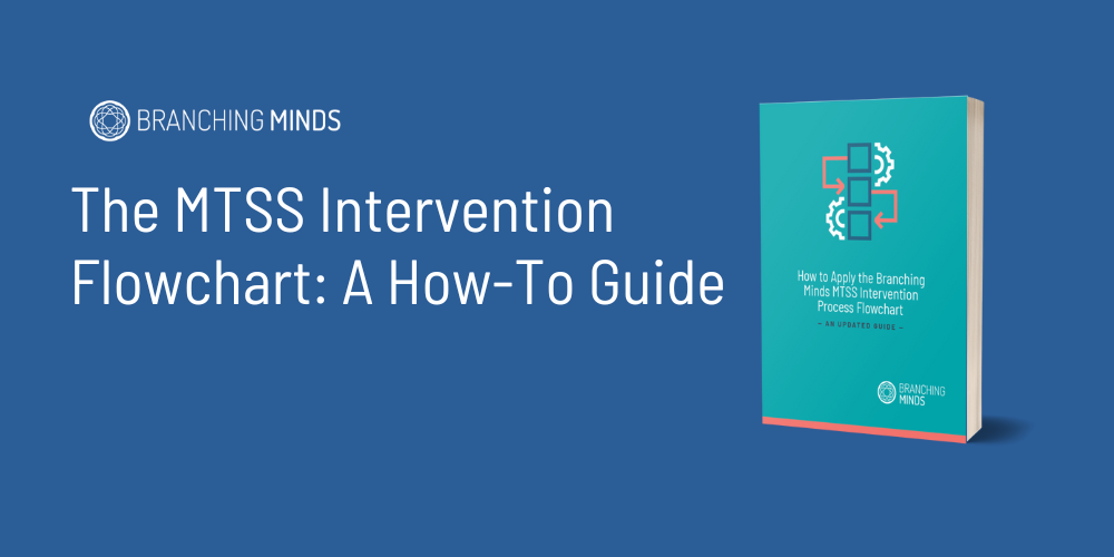 MTSS Intervention Process Flowchart