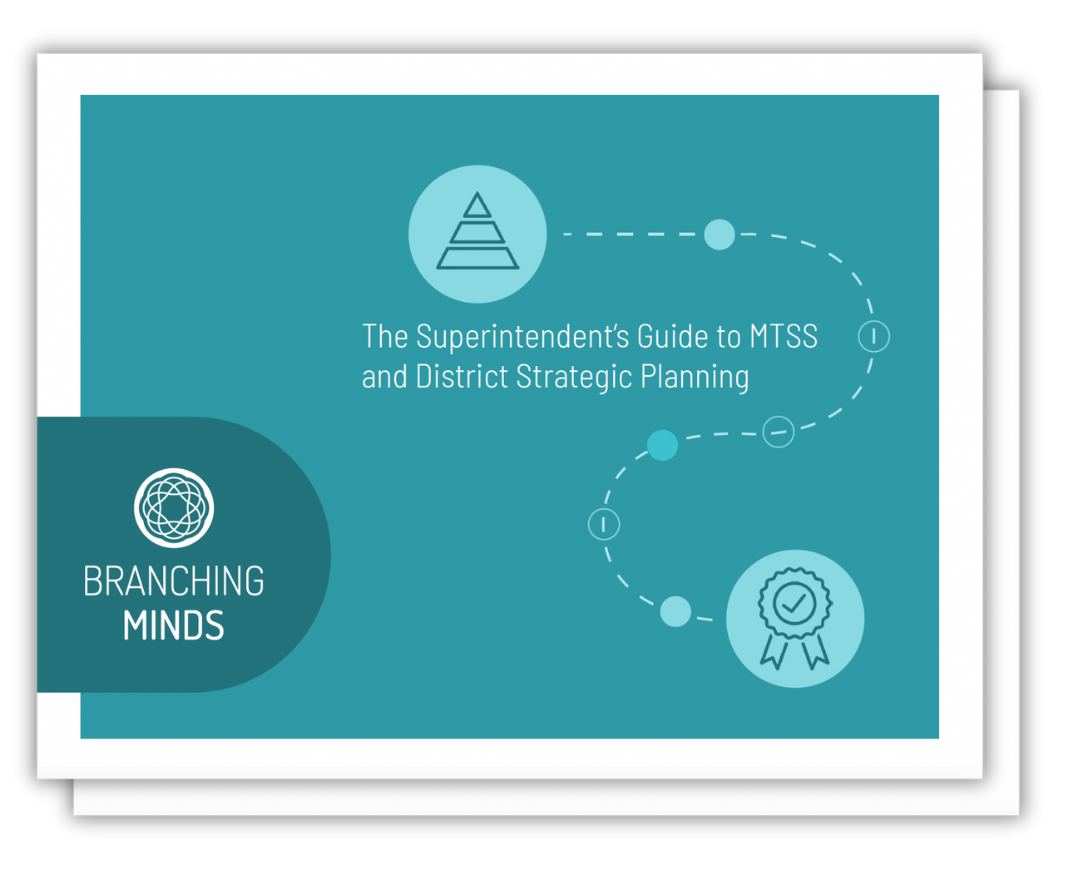 The Superintendent's Guide to MTSS