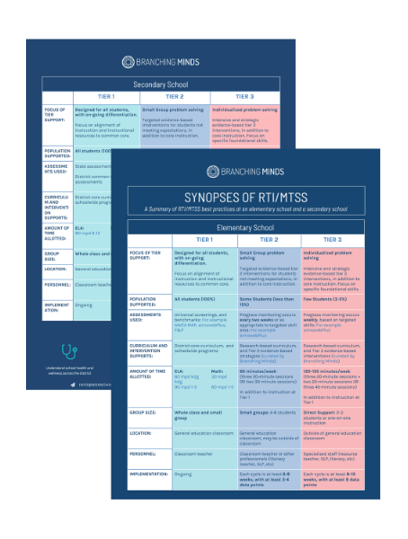 synopses-mtss-elementary-secondary